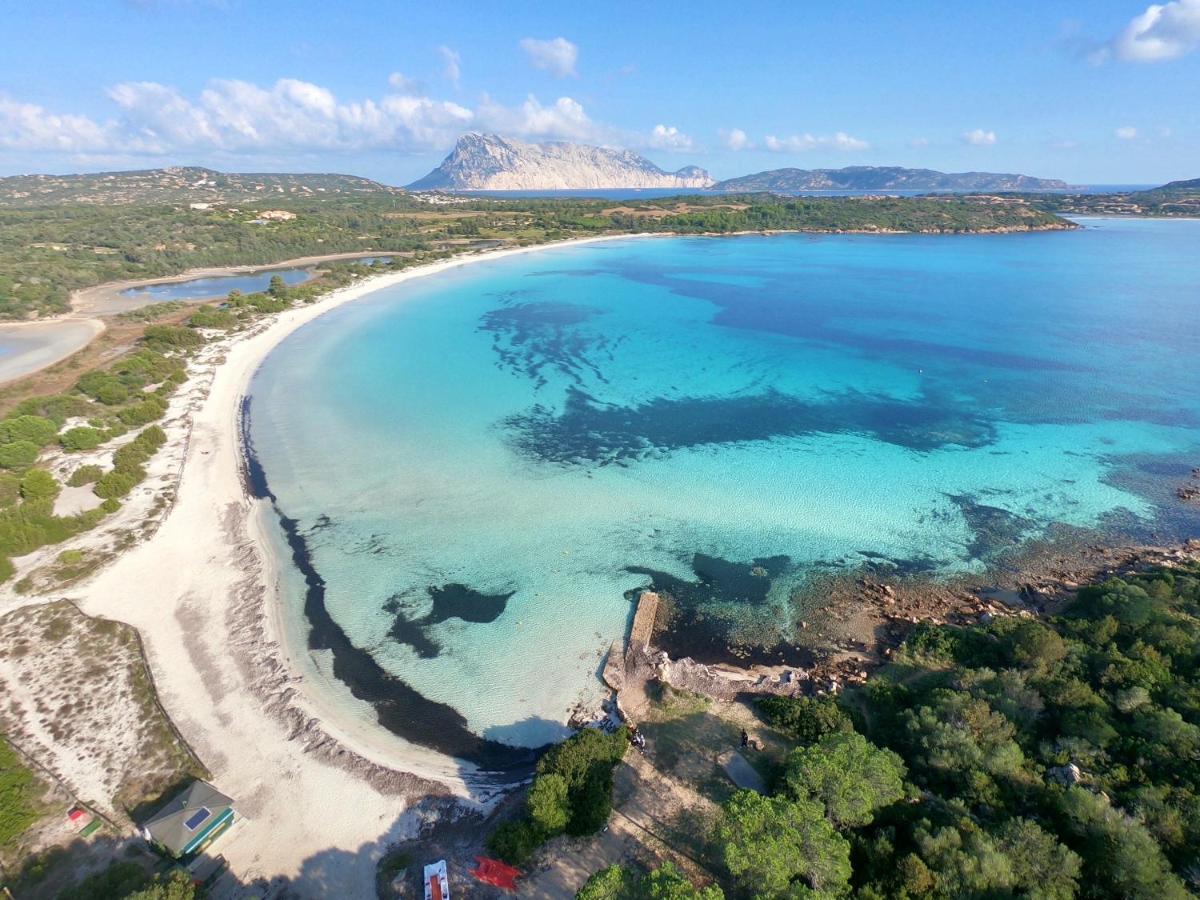 Iss Travel, Gli Asfodeli - Large Apartments With Private Terrace Сан Теодоро Екстериор снимка